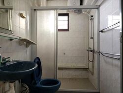 Blk 184 Stirling Rise (Queenstown), HDB 5 Rooms #608029801